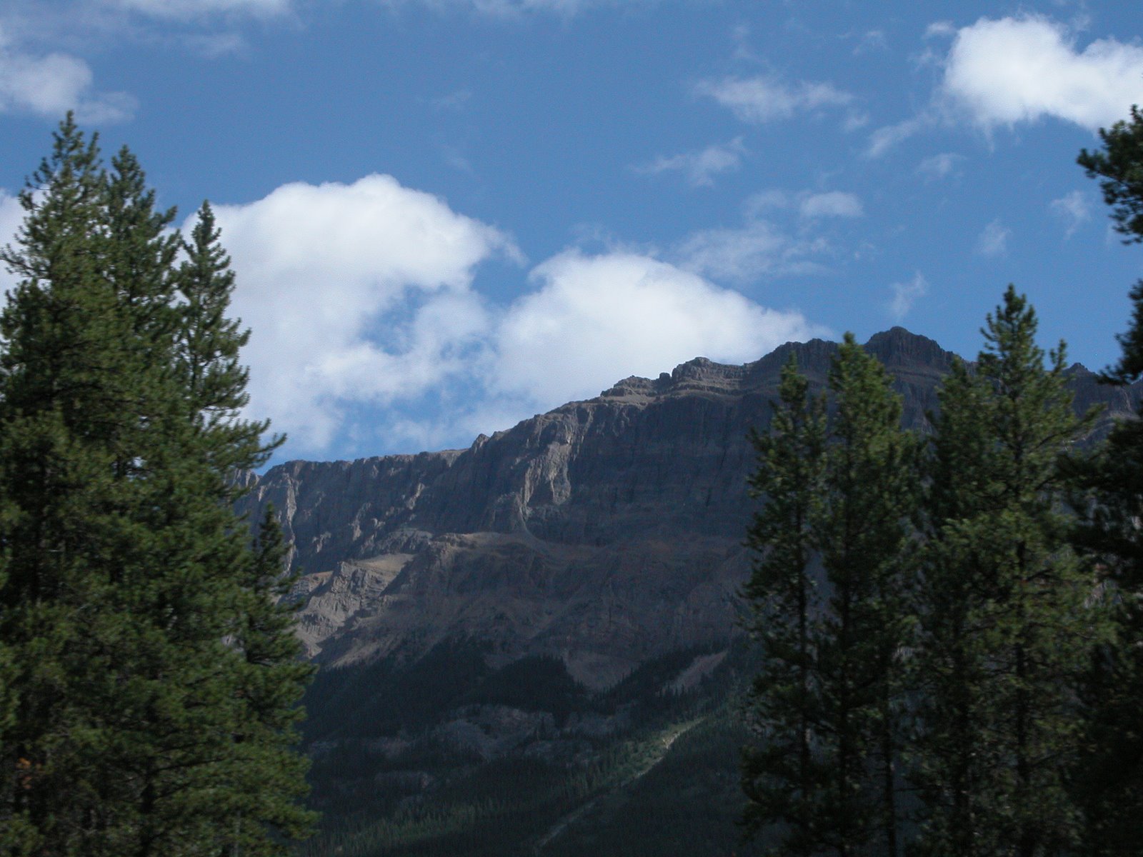 [DSCN8915+Mountains+Trees+Banff+NP+Icefields+Parkway+Transit+To+Vanderhoof+BC.JPG]