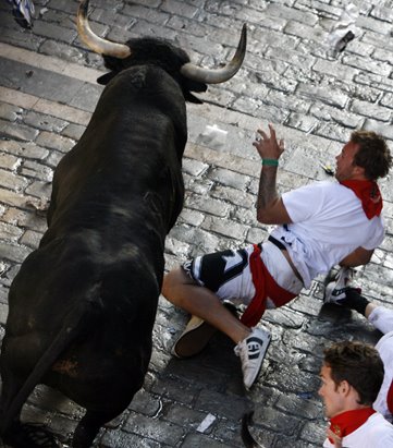 [bull-fighting-festival.jpg]