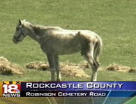 [Rockcastle+County.jpg]