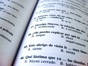 [485928_spanish_handbook.jpg]