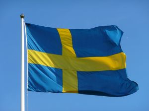 [874886_swedish_flag.jpg]