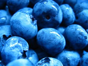 [845394_blueberries.jpg]