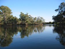 Canoeing down the Murray 1