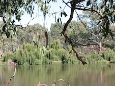 Canoeing down the Murray 2