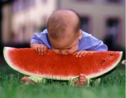 [baby+watermelon.jpg]