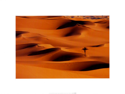 [6445052~Dunas-del-desierto-Argelia-Posteres.jpg]
