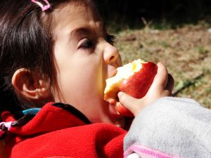 [apple+child.jpg]