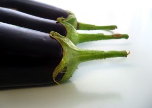 [eggplants.jpg]