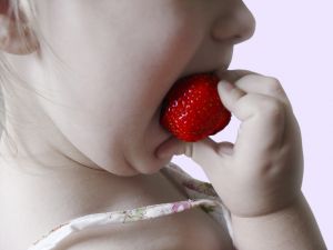 [child+and+strawberry.jpg]