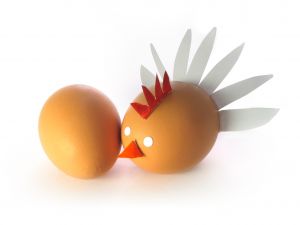 [chicken+and+egg.jpg]