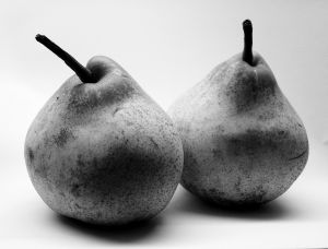 [pears+-+two.jpg]