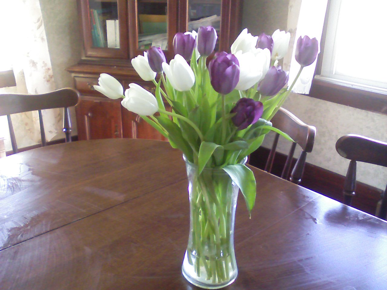 [tulips+5.4.07.jpg]