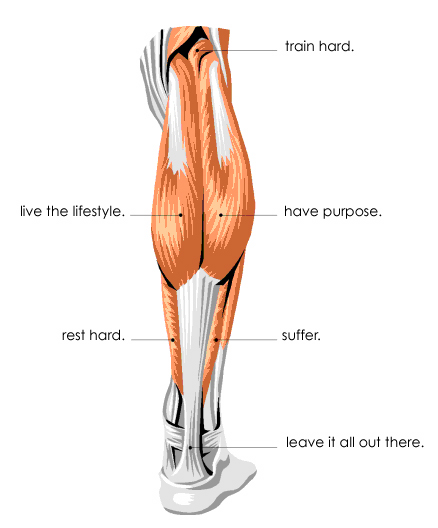 [male_muscle_anatomy.jpg]