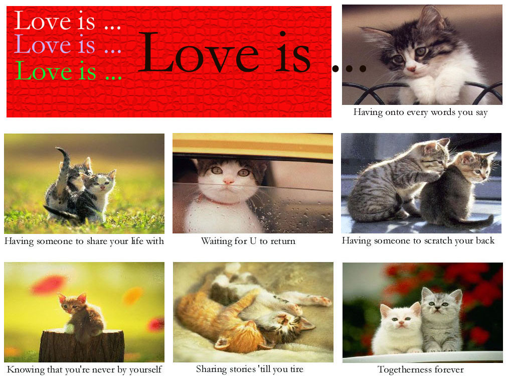 [cat+love+is.jpg]