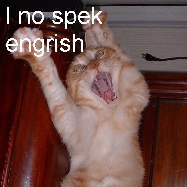 [cat+no+speaka+english.jpg]