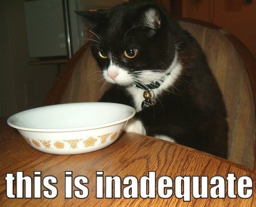 [cat,+inadequate.jpg]
