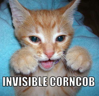 [invisible+corncob.png]