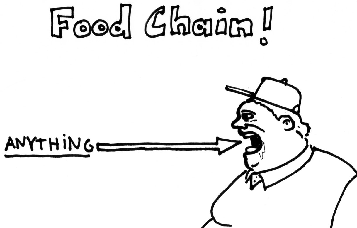 [food+chain.jpg]
