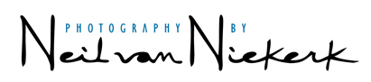 [NVN_logo.jpg]