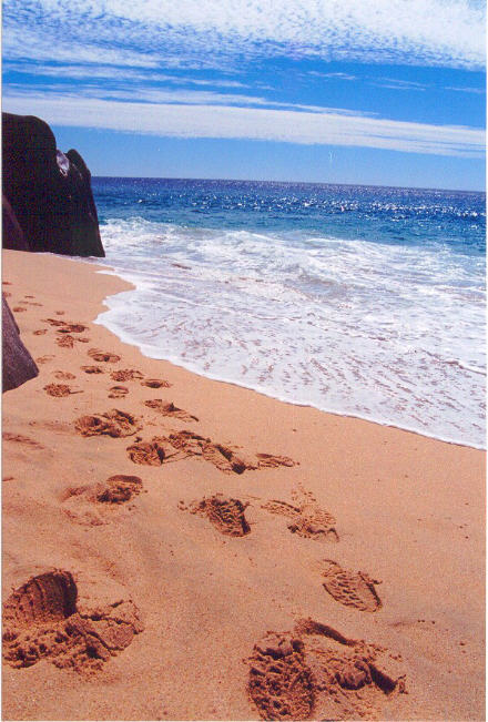 [baja, footprints on the beach.jpg]