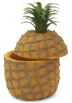 [pineappleicebucket.jpg]