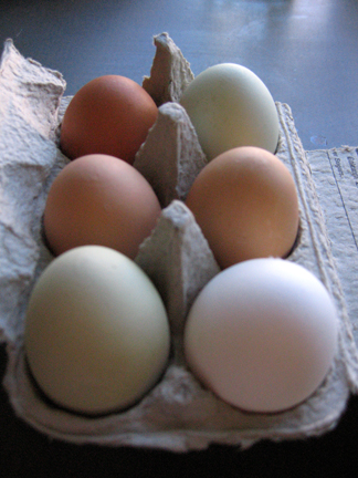 [Rosendahl+Eggs+2.jpg]