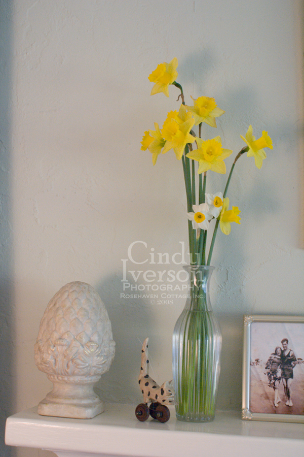 [Daffodils+and+narcissus+in+vase.jpg]