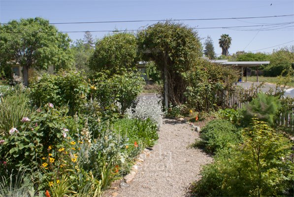 [Front+garden+path+April+2008.jpg]
