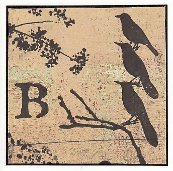 [4x4+Birds.jpg]