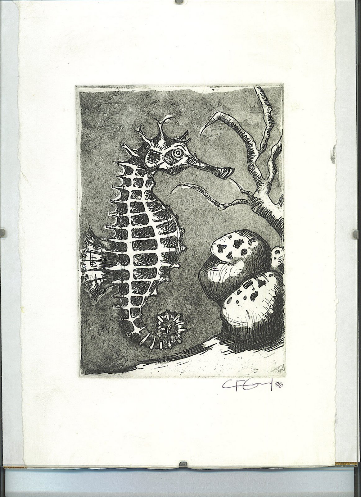 [seahorse+etching.jpg]