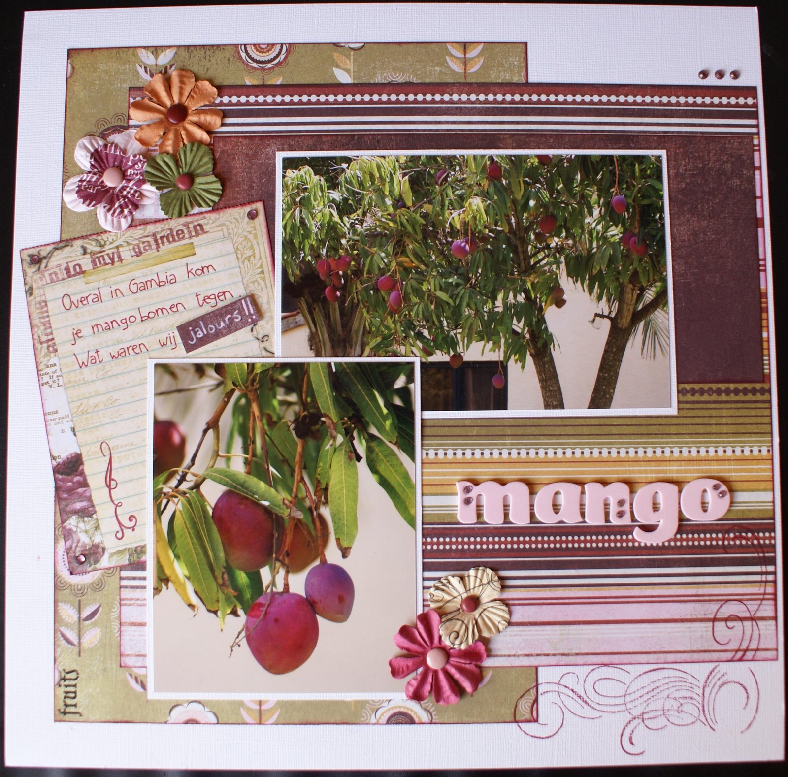 [Mango+trees.JPG]
