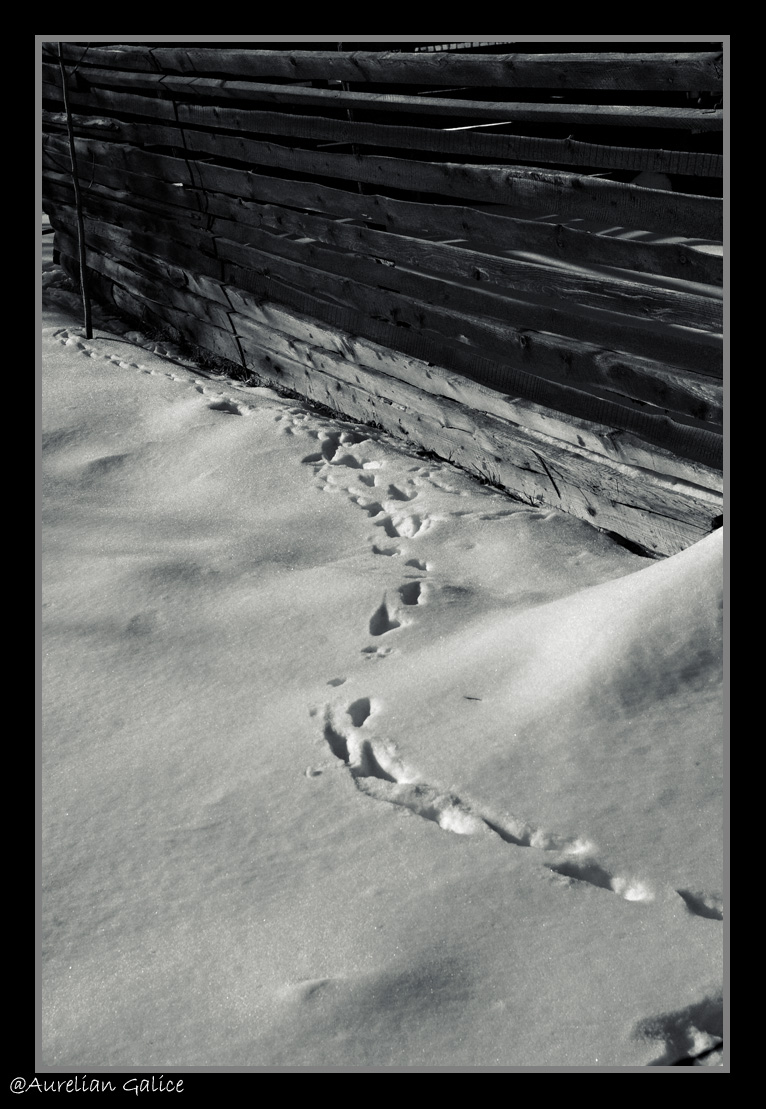 [Snow+Steps.jpg]