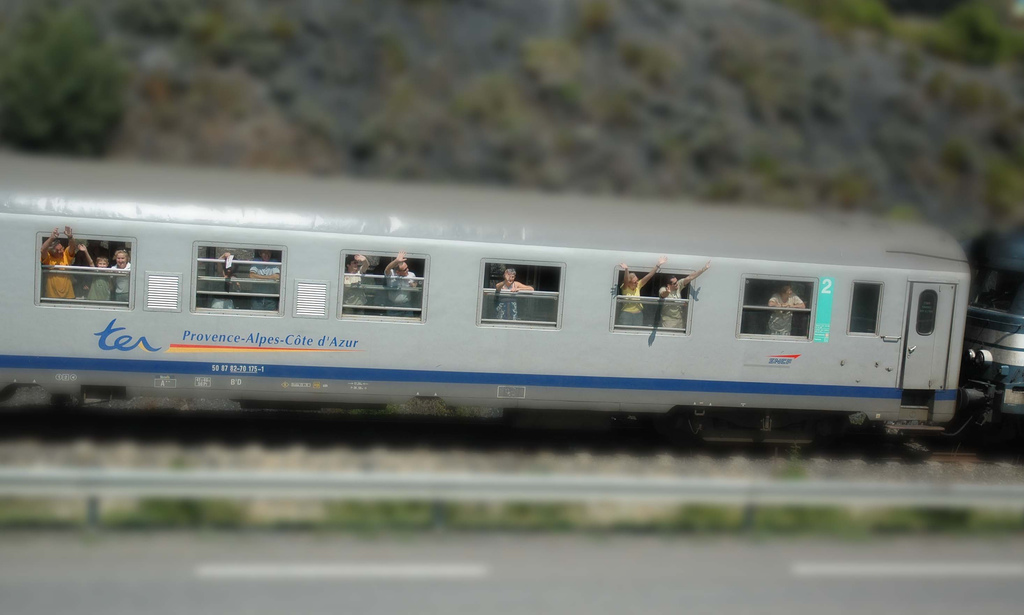 [model+train.jpg]
