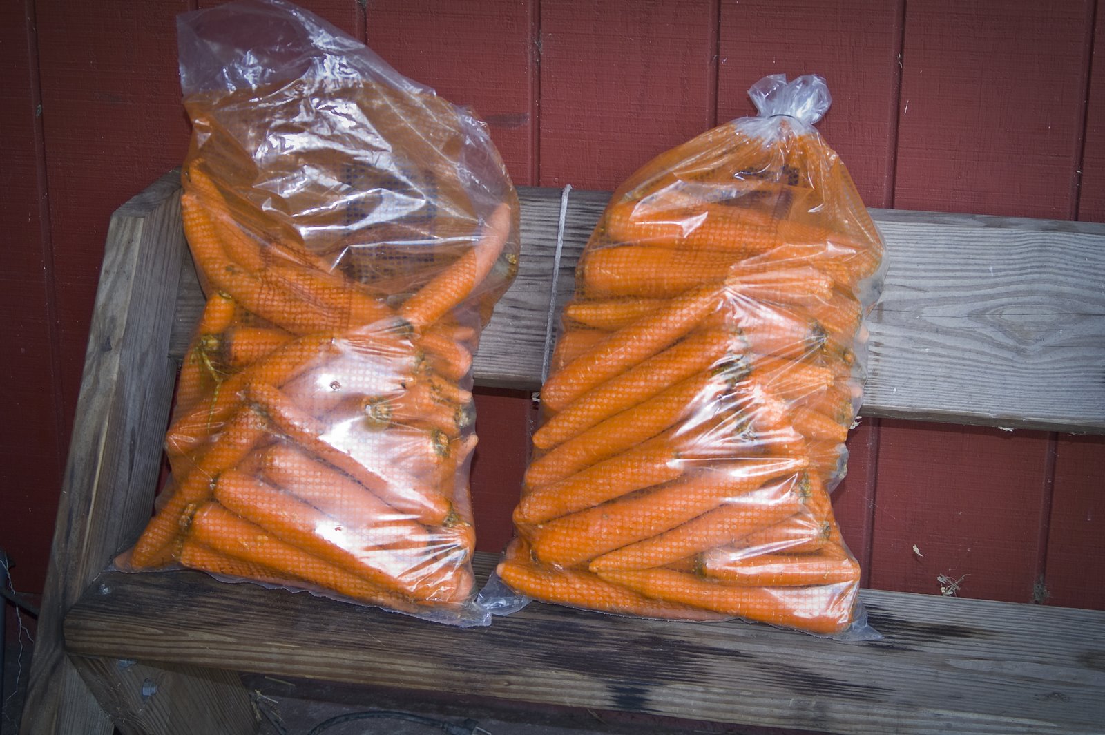 [bags+of+carrots.jpg]