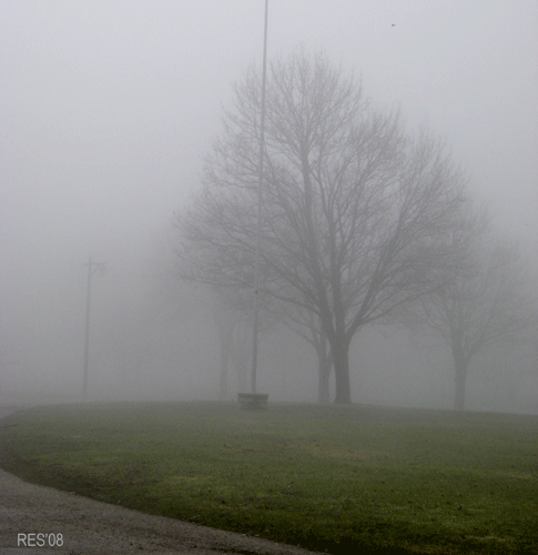[fog1.gif]