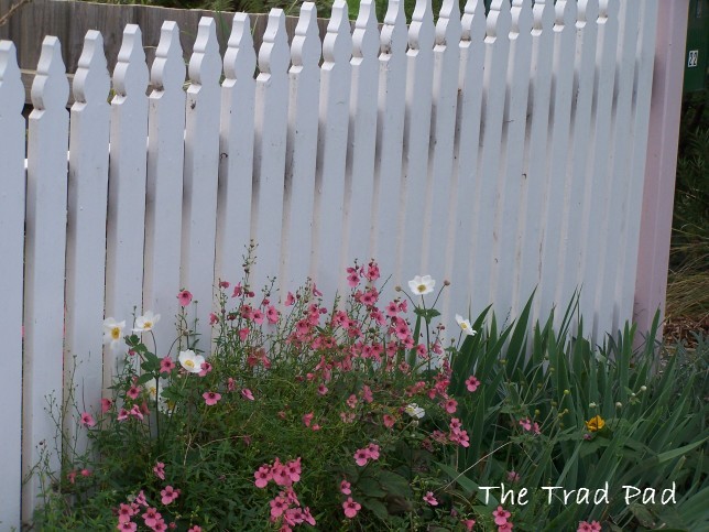 [Fence+with+pink+flowers+-+Clow+Avenue.jpg]