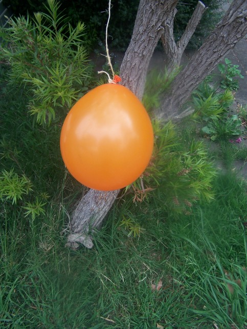 [Halloween+balloon+071031.jpg]