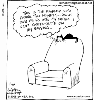 [Cartoon+cat+two+hobbies.gif]