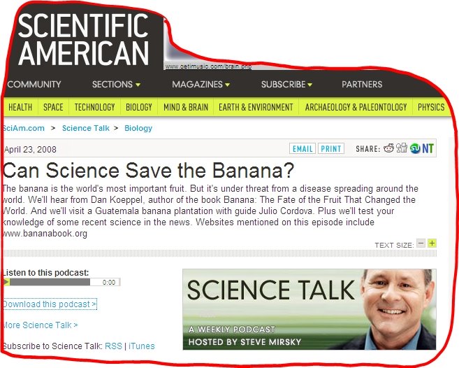 [Banana+Podcast+Scientific+American.jpg]