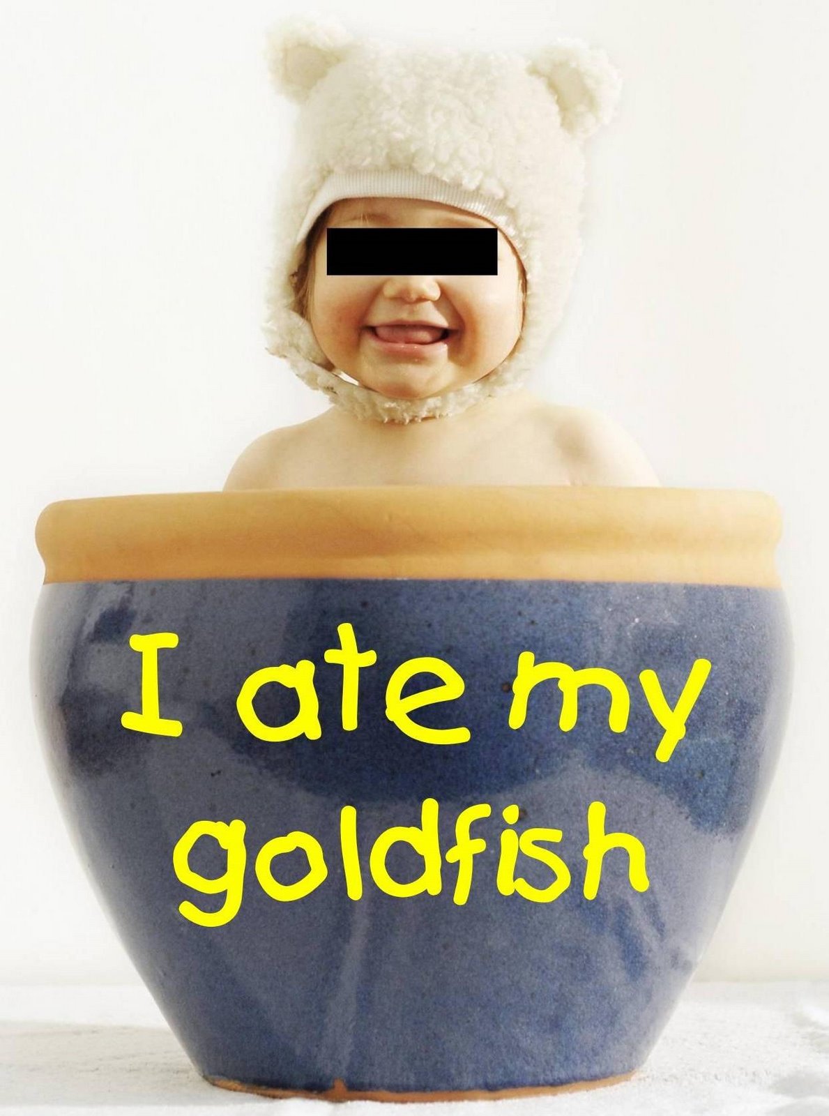 I ate my goldfish