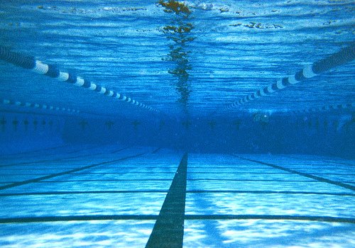 [swim.jpg]