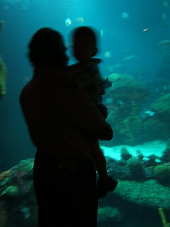 [blog-o+and+pappa+aquarium.jpg]