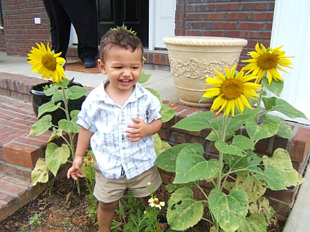 [blog-o+and+his+sunflowers.jpg]