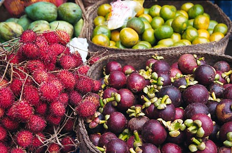 Indonesian Exotic Fruits
