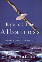 [Eye-Albatross.jpg]