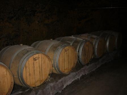 [wine+barrels.JPG]