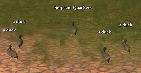 [Sergeant+Quackers.jpg]