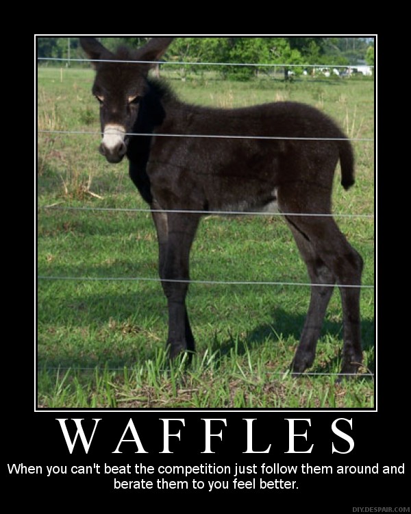 [Waffles.jpg]
