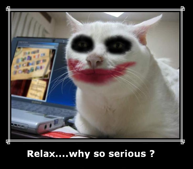 [relax+cat.jpg]