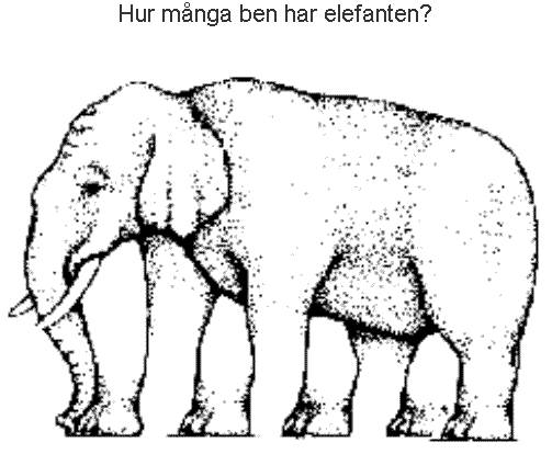 [elefanten.jpg]